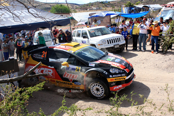 Prokop #21