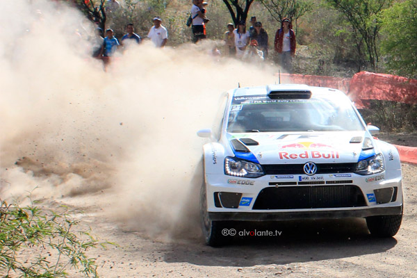 Ogier #1