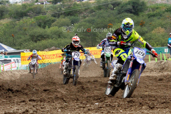 Van Horebeek