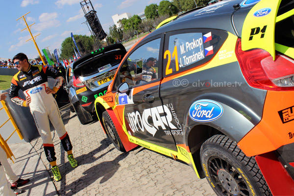Prokop #20